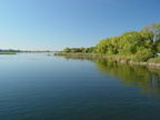 Bowfin - Amia calva habitat - Konrad Schmidt